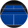 Pickleball Court